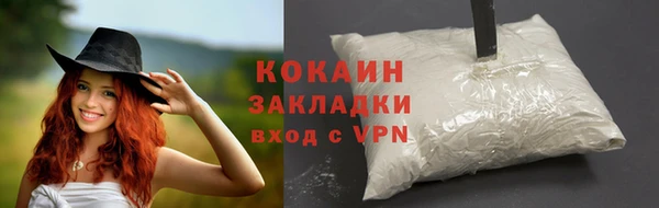 гашик Бронницы