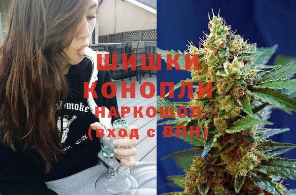 гашик Бронницы