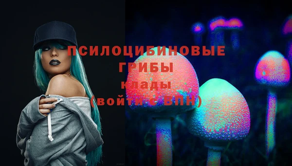 хмурый Богданович