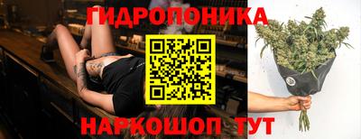 apvp Балашиха