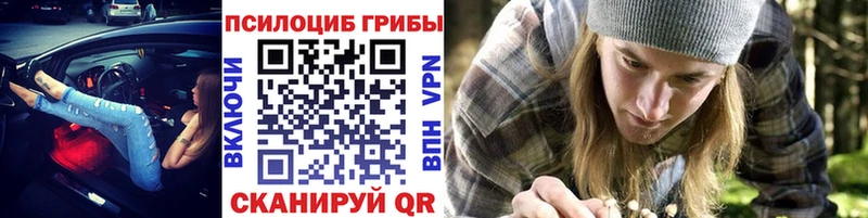 Псилоцибиновые грибы GOLDEN TEACHER  Всеволожск 