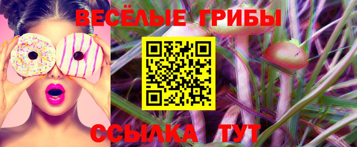 Псилоцибиновые грибы ЛСД Всеволожск