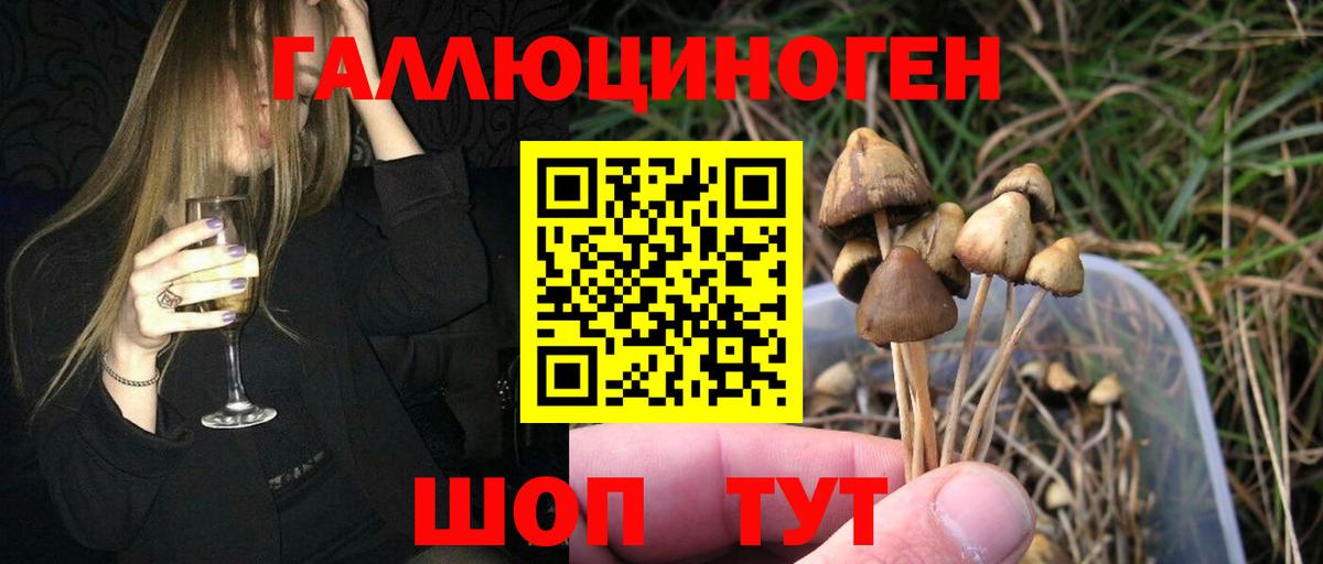 что такое   Псилоцибиновые грибы Psilocybe  Вход с VPN  Всеволожск 