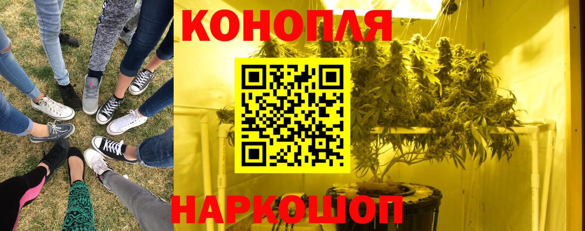 Шишки марихуана Amnesia  Бошки марихуана семена  Всеволожск  Бошки марихуана THC 21%  Конопля ГИДРОПОН 